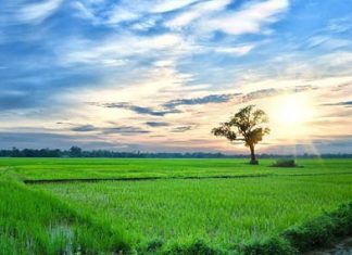 My Favourite Season-A Paragraph My Favourite Season