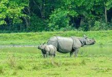 Natural Resources-Essay Natural Resources