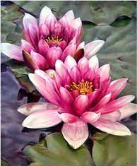 Prasanna Pam-Brief Life Sketch Prasanna Pam-Brief Life Sketch