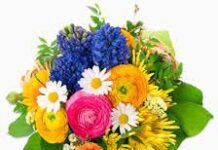 Purushottam Vidyabagish-Brief Life Sketch Purushottam Vidyabagish-Brief Life Sketch