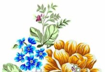 Radha-Rukuni-Brief Life Sketch Radha-Rukuni-Brief Life Sketch