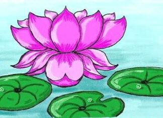 Rajen Rava-Brief Life Sketch Rajen Rava-Brief Life Sketch