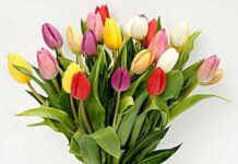 Rajiv Sarma-Brief Life Sketch Rajiv Sarma-Brief Life Sketch