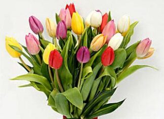 Rajiv Sarma-Brief Life Sketch Rajiv Sarma-Brief Life Sketch