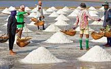 Salt-An Essay Salt-An Essay