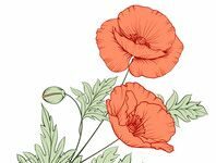 Sarbananda Singh-Brief Life Sketch Sarbananda Singh-Brief Life Sketch