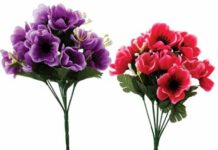 Sarbeshwar Kataki-Brief Life Sketch Sarbeshwar Kataki-Brief Life Sketch