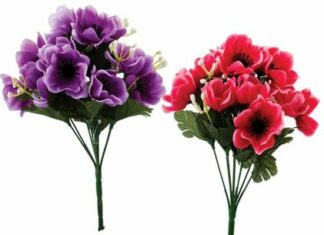 Sarbeshwar Kataki-Brief Life Sketch Sarbeshwar Kataki-Brief Life Sketch