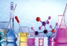 Science Essay Science Essay