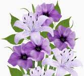 Sulikafa-Brief Life Sketch Sulikafa-Brief Life Sketch