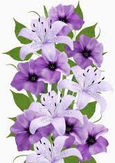 Sulikafa-Brief Life Sketch Sulikafa-Brief Life Sketch