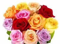 Sundar Gohain-Brief Life Sketch Sundar Gohain-Brief Life Sketch