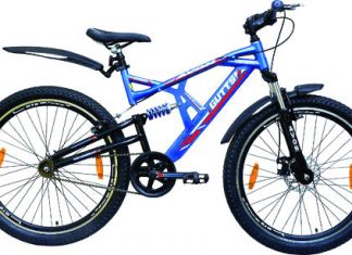 The Bicycle-An Essay The Bicycle-An Essay