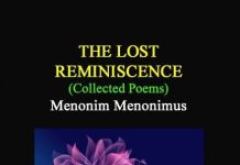 The Lost Reminiscence The Lost Reminiscence