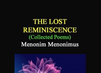 The Lost Reminiscence The Lost Reminiscence