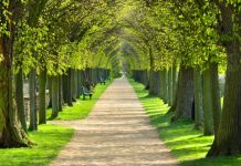 The Malgudian Boulevard | S Story by Menonimus The Malgudian Boulevard