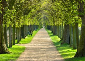 The Malgudian Boulevard | S Story by Menonimus The Malgudian Boulevard