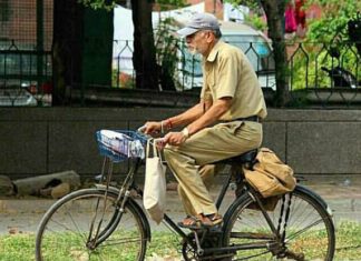 The Postman-An Essay The Postman-An Essay