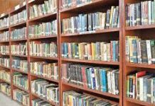 The Public Library-An Essay The Public Library-An Essay