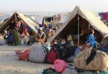 The Refugee The Refugee