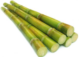 The Sugarcane-Essay The Sugarcane- Essay
