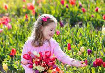 The Utility of Leisure-An Essay The Utility of Leisure-An Essay