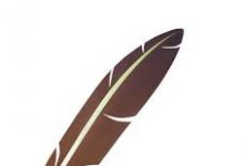 Tips for Amplification Writing Tips for Amplification Writing