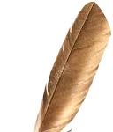 Tips For Writing Paragraph | Steps of Writing Paragraph Tips for Writing Paragraph | Steps of Writing Paragraph A paragraph is a section or part of a prose work containing a single idea or thought of a topic. A prose work may be written in many paragraphs