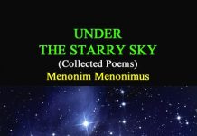 Under the Starry Sky Under the Starry Sky