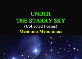 Under the Starry Sky Under the Starry Sky