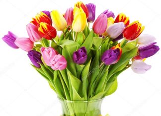 Upendra Chandra Lekharu-Brief Life Sketch Upendra Chandra Lekharu-Brief Life Sketch