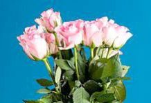 Uttam Baruah-Brief Life Sketch Uttam Baruah-Brief Life Sketch