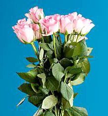 Uttam Baruah-Brief Life Sketch Uttam Baruah-Brief Life Sketch