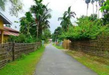 Village Life in Assam | Village Life in Assam Essay Village Life in Assam Essay