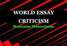 World Essay Criticism World Essay Criticism