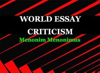 World Essay Criticism World Essay Criticism