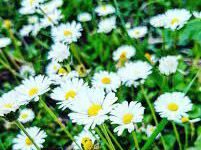 Yatindra Singh YYatindra Singh