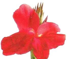 Yogendra Nath Hazarika-Brief Life Sketch Yogendra Nath Hazarika-Brief Life Sketch