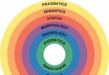Types of Sentence in English Types of Sentence in English