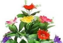 Come to Me in My Dream and Then | An Analytical Study Come to Me in My Dream and Then | An Analytical Study