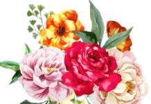 The Poem You Say–An Analytical Study The Poem 'You Say' --An Analytical Study