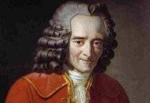 Voltaire | Candid | A Brief Comment Voltaire | Candid | A Brief Comment