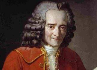 Voltaire | Candid | A Brief Comment Voltaire | Candid | A Brief Comment