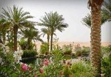 Al-Asha | Life and Poetic Career Al-Asha | Life and Poetic Career