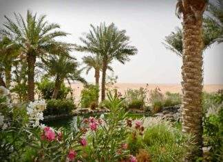 Al-Asha | Life and Poetic Career Al-Asha | Life and Poetic Career