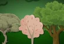 Climax | Climax Meaning, Definition, Examples & Illustration Climax