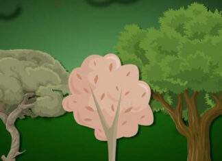 Climax | Climax Meaning, Definition, Examples & Illustration Climax