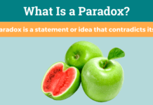 Paradox | Paradox Meaning, Definition, Example & Illustration Paradox Meaning