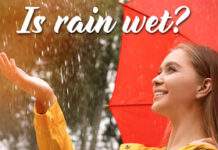 Interrogation | Rhetorical Question-Literary Device Rhetorical Question