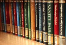 Autobiographical Novel Chief Features Autobiographical Novel Autobiographical Novel Chief Features